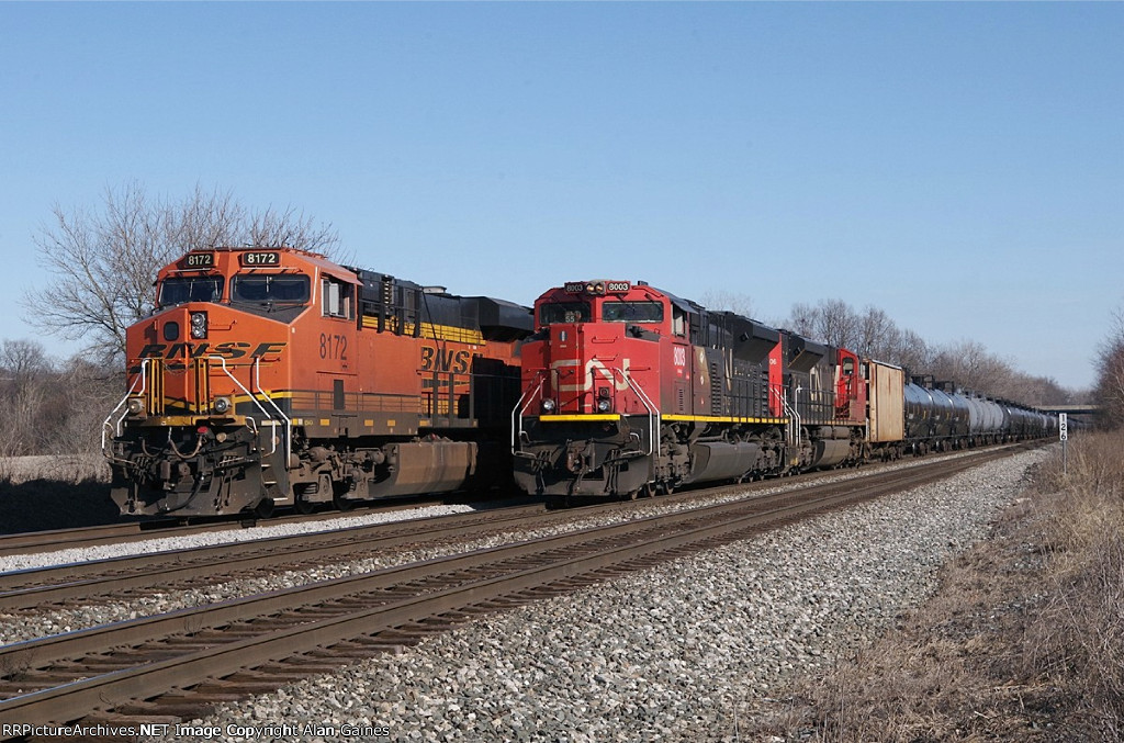 CN 8003